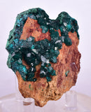 6.3cms DIOPTASE CRYSTALS CONGO EMERALD COLOR MINERAL SPECIMEN KB127