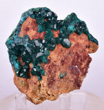 6.3cms DIOPTASE CRYSTALS CONGO EMERALD COLOR MINERAL SPECIMEN KB127