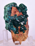 6.3cms DIOPTASE CRYSTALS CONGO EMERALD COLOR MINERAL SPECIMEN KB127