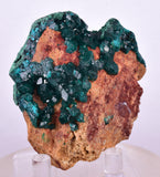 6.3cms DIOPTASE CRYSTALS CONGO EMERALD COLOR MINERAL SPECIMEN KB127