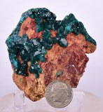 6.3cms DIOPTASE CRYSTALS CONGO EMERALD COLOR MINERAL SPECIMEN KB127