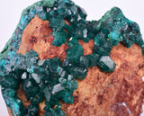 6.3cms DIOPTASE CRYSTALS CONGO EMERALD COLOR MINERAL SPECIMEN KB127