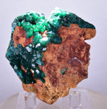 6.3cms DIOPTASE CRYSTALS CONGO EMERALD COLOR MINERAL SPECIMEN KB127