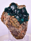 5.4cms DIOPTASE CRYSTALS CONGO EMERALD COLOR MINERAL SPECIMEN KB128
