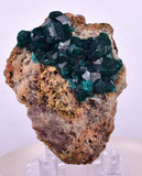5.4cms DIOPTASE CRYSTALS CONGO EMERALD COLOR MINERAL SPECIMEN KB128