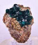 5.4cms DIOPTASE CRYSTALS CONGO EMERALD COLOR MINERAL SPECIMEN KB128