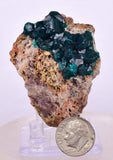 5.4cms DIOPTASE CRYSTALS CONGO EMERALD COLOR MINERAL SPECIMEN KB128
