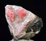 3.4cm RHODOCHROSITE CRYSTALS PERU OLD STOCK UCHUCCHACUA MINERAL SPECIMEN RB715