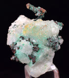 2.9cms NATIVE COPPER CALCITE MALACHITE RARE CRYSTALS MOROCCO MINERAL IB231