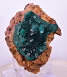 5.2cms DIOPTASE CRYSTALS CONGO EMERALD COLOR MINERAL SPECIMEN KB137