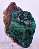 5.6cms DIOPTASE CRYSTALS CONGO EMERALD COLOR MINERAL SPECIMEN KB138