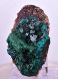 5.6cms DIOPTASE CRYSTALS CONGO EMERALD COLOR MINERAL SPECIMEN KB138