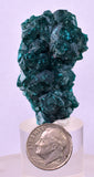 4.6cms DIOPTASE CRYSTALS CONGO EMERALD COLOR MINERAL SPECIMEN KB140
