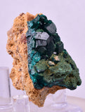 4.1cms DIOPTASE CRYSTALS CONGO EMERALD COLOR MINERAL SPECIMEN KB141