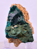 4.1cms DIOPTASE CRYSTALS CONGO EMERALD COLOR MINERAL SPECIMEN KB141