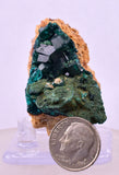 4.1cms DIOPTASE CRYSTALS CONGO EMERALD COLOR MINERAL SPECIMEN KB141