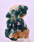 3.9cms DIOPTASE CRYSTALS CONGO EMERALD COLOR MINERAL SPECIMEN KB144