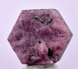 20.9cts RUBY CRYSTAL CORUNDUM NATURAL RED TANZANIA MINERAL SPECIMEN YB82