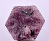 20.9cts RUBY CRYSTAL CORUNDUM NATURAL RED TANZANIA MINERAL SPECIMEN YB82