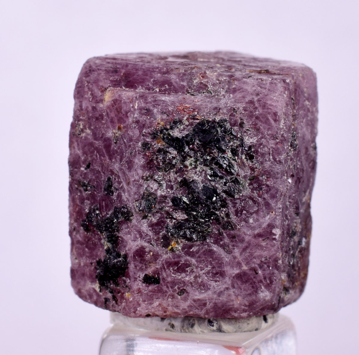 75cts RUBY CRYSTAL CORUNDUM NATURAL RED TANZANIA MINERAL SPECIMEN YB83 ...