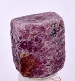 75cts RUBY CRYSTAL CORUNDUM NATURAL RED TANZANIA MINERAL SPECIMEN YB83