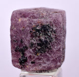 75cts RUBY CRYSTAL CORUNDUM NATURAL RED TANZANIA MINERAL SPECIMEN YB83