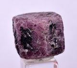 12cts RUBY CRYSTAL CORUNDUM NATURAL RED TANZANIA MINERAL SPECIMEN YB84