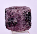 12cts RUBY CRYSTAL CORUNDUM NATURAL RED TANZANIA MINERAL SPECIMEN YB84