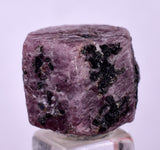 12cts RUBY CRYSTAL CORUNDUM NATURAL RED TANZANIA MINERAL SPECIMEN YB84