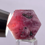 20.9cts RUBY CRYSTAL CORUNDUM NATURAL RED TANZANIA MINERAL SPECIMEN YB82