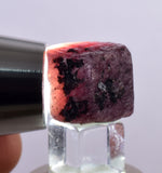 12cts RUBY CRYSTAL CORUNDUM NATURAL RED TANZANIA MINERAL SPECIMEN YB84