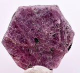 147cts RUBY CRYSTAL CORUNDUM NATURAL RED TANZANIA MINERAL SPECIMEN YB85