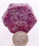 147cts RUBY CRYSTAL CORUNDUM NATURAL RED TANZANIA MINERAL SPECIMEN YB85
