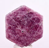 143cts RUBY CRYSTAL CORUNDUM NATURAL RED TANZANIA MINERAL SPECIMEN YB86