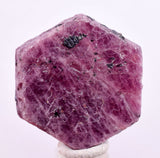 85cts RUBY CRYSTAL CORUNDUM NATURAL RED TANZANIA MINERAL SPECIMEN YB87