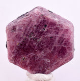 85cts RUBY CRYSTAL CORUNDUM NATURAL RED TANZANIA MINERAL SPECIMEN YB87