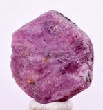 50cts RUBY CRYSTAL CORUNDUM NATURAL RED TANZANIA MINERAL SPECIMEN YB88