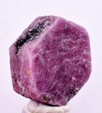 80cts RUBY CRYSTAL CORUNDUM NATURAL RED TANZANIA MINERAL SPECIMEN YB89