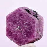 80cts RUBY CRYSTAL CORUNDUM NATURAL RED TANZANIA MINERAL SPECIMEN YB89