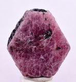 80cts RUBY CRYSTAL CORUNDUM NATURAL RED TANZANIA MINERAL SPECIMEN YB90