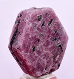 90cts RUBY CRYSTAL CORUNDUM NATURAL RED TANZANIA MINERAL SPECIMEN YB91