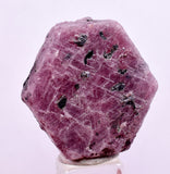 90cts RUBY CRYSTAL CORUNDUM NATURAL RED TANZANIA MINERAL SPECIMEN YB91