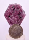 90cts RUBY CRYSTAL CORUNDUM NATURAL RED TANZANIA MINERAL SPECIMEN YB91