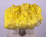9.4cms SULPHUR CRYSTAL BOLIVIA MINERAL SPECIMEN YW3
