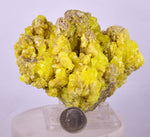 8.6cms SULPHUR CRYSTAL BOLIVIA MINERAL SPECIMEN YW4