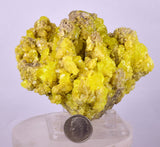 8.6cms SULPHUR CRYSTAL BOLIVIA MINERAL SPECIMEN YW4