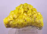 8.6cms SULPHUR CRYSTAL BOLIVIA MINERAL SPECIMEN YW5