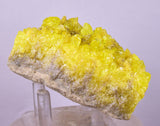 8.6cms SULPHUR CRYSTAL BOLIVIA MINERAL SPECIMEN YW5
