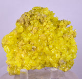 7.3cms SULPHUR CRYSTAL BOLIVIA MINERAL SPECIMEN YW6