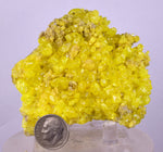 7.3cms SULPHUR CRYSTAL BOLIVIA MINERAL SPECIMEN YW6